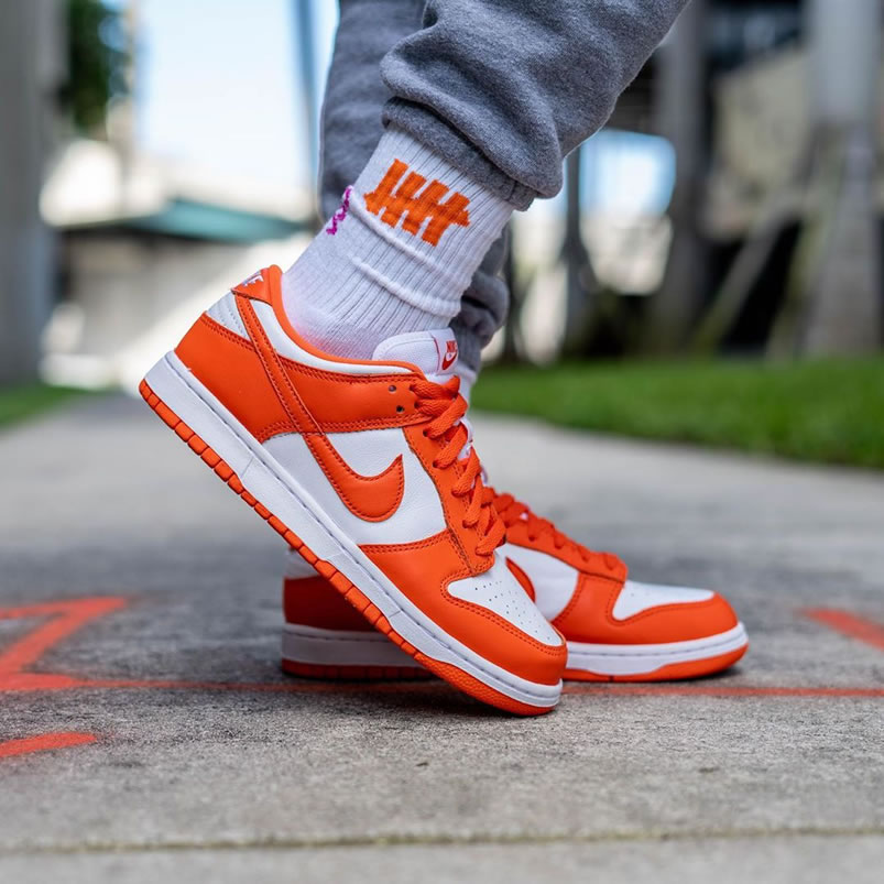 Nike Sb Dunk Low Sp Syracuse Orange Blaze Cu1726 101 On Feet (1) - newkick.cc