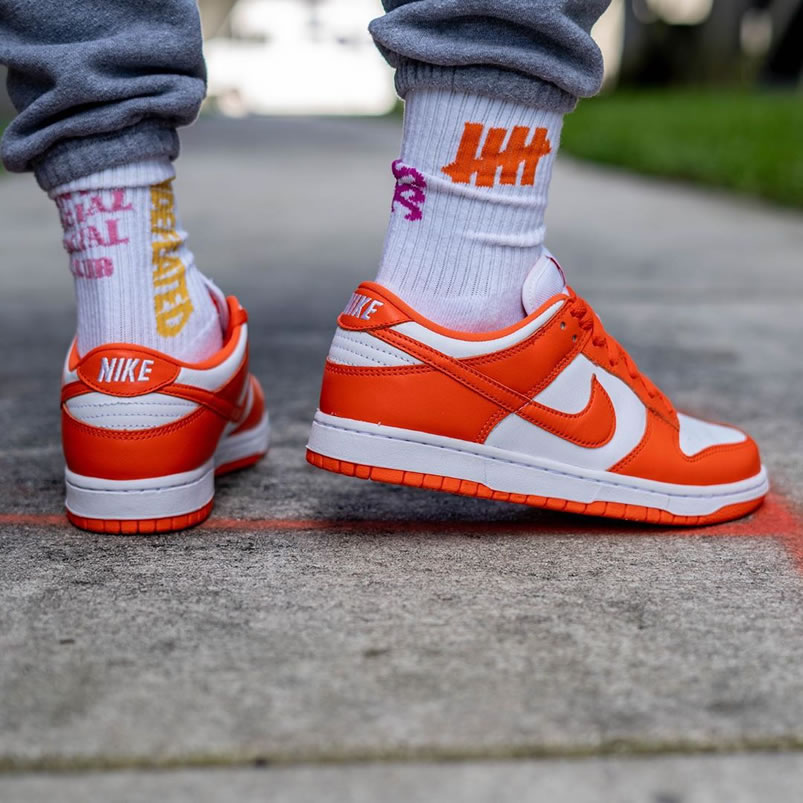 Nike Sb Dunk Low Sp Syracuse Orange Blaze Cu1726 101 On Feet (5) - newkick.cc