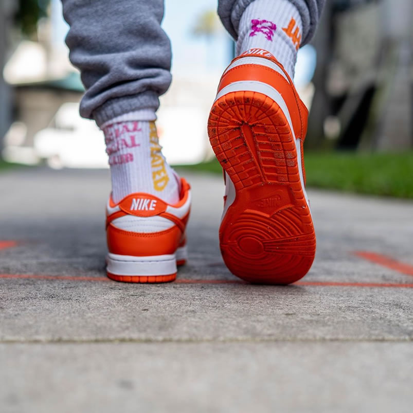 Nike Sb Dunk Low Sp Syracuse Orange Blaze Cu1726 101 On Feet (7) - newkick.cc