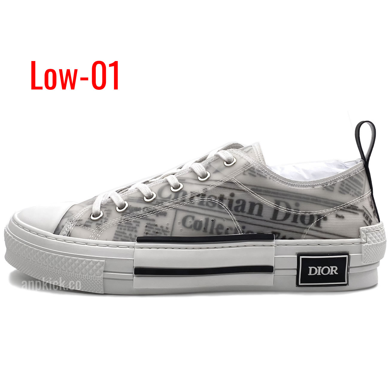 Dior B23 Low Shoes (1) - newkick.cc