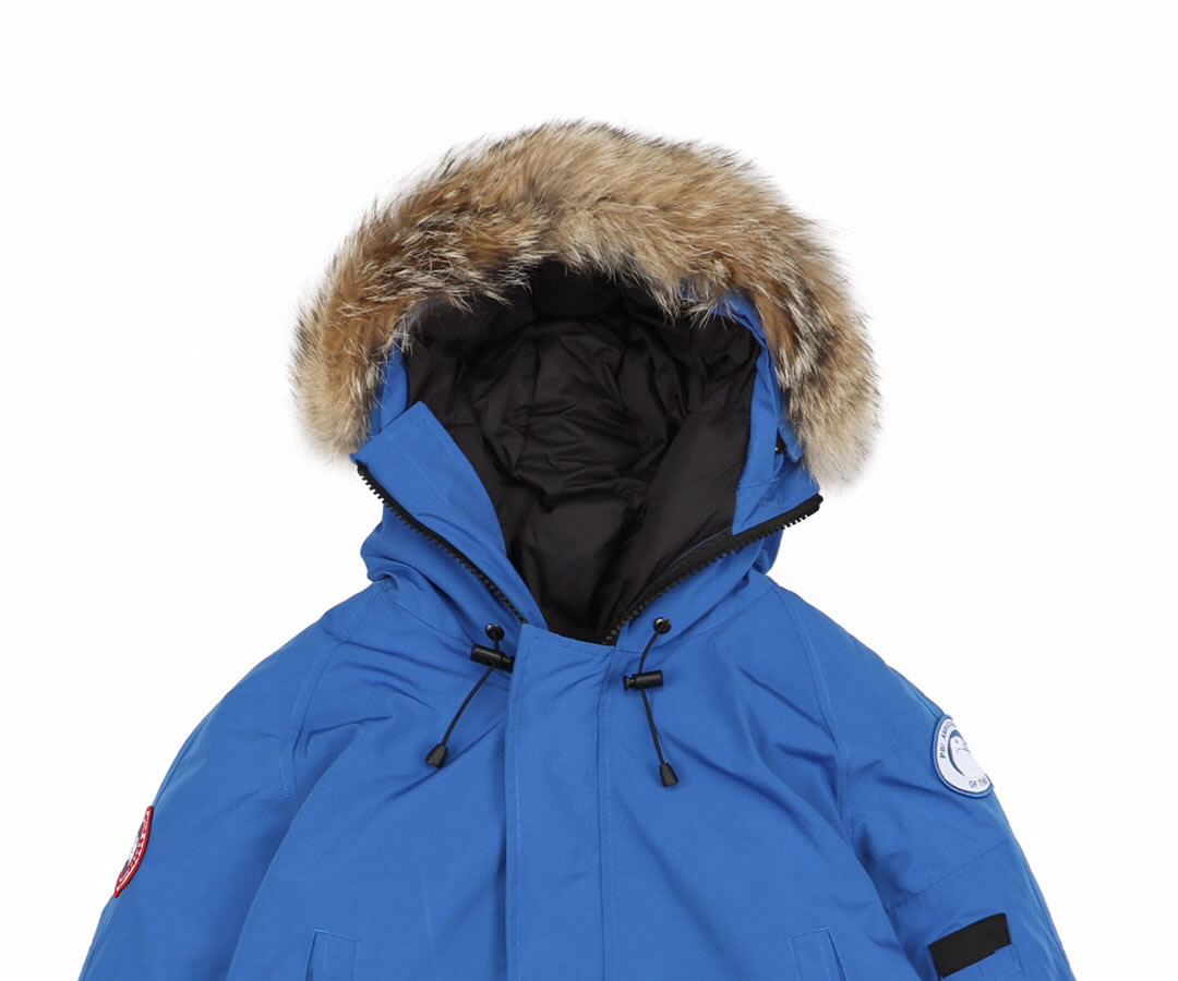 01 Canada Goose 19fw Pbi Chilliwack 7999mpb Down Jacket Coat Sky Blue (3) - newkick.cc