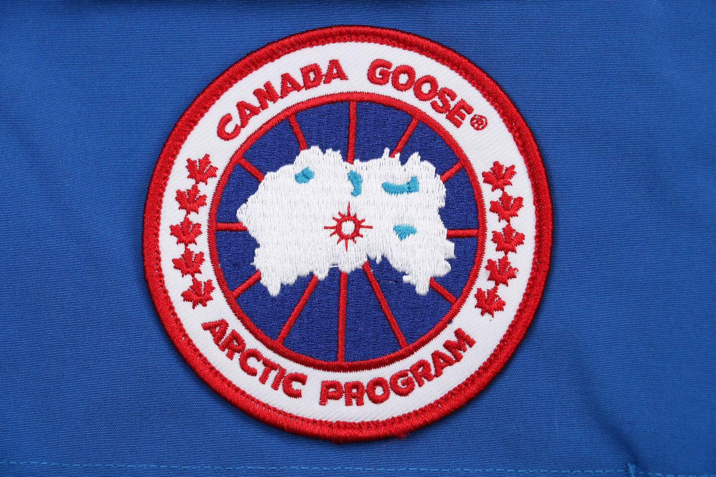 08 Canada Goose 19fw Expedition 4660ma Down Jacket Coat Sky Blue (6) - newkick.cc