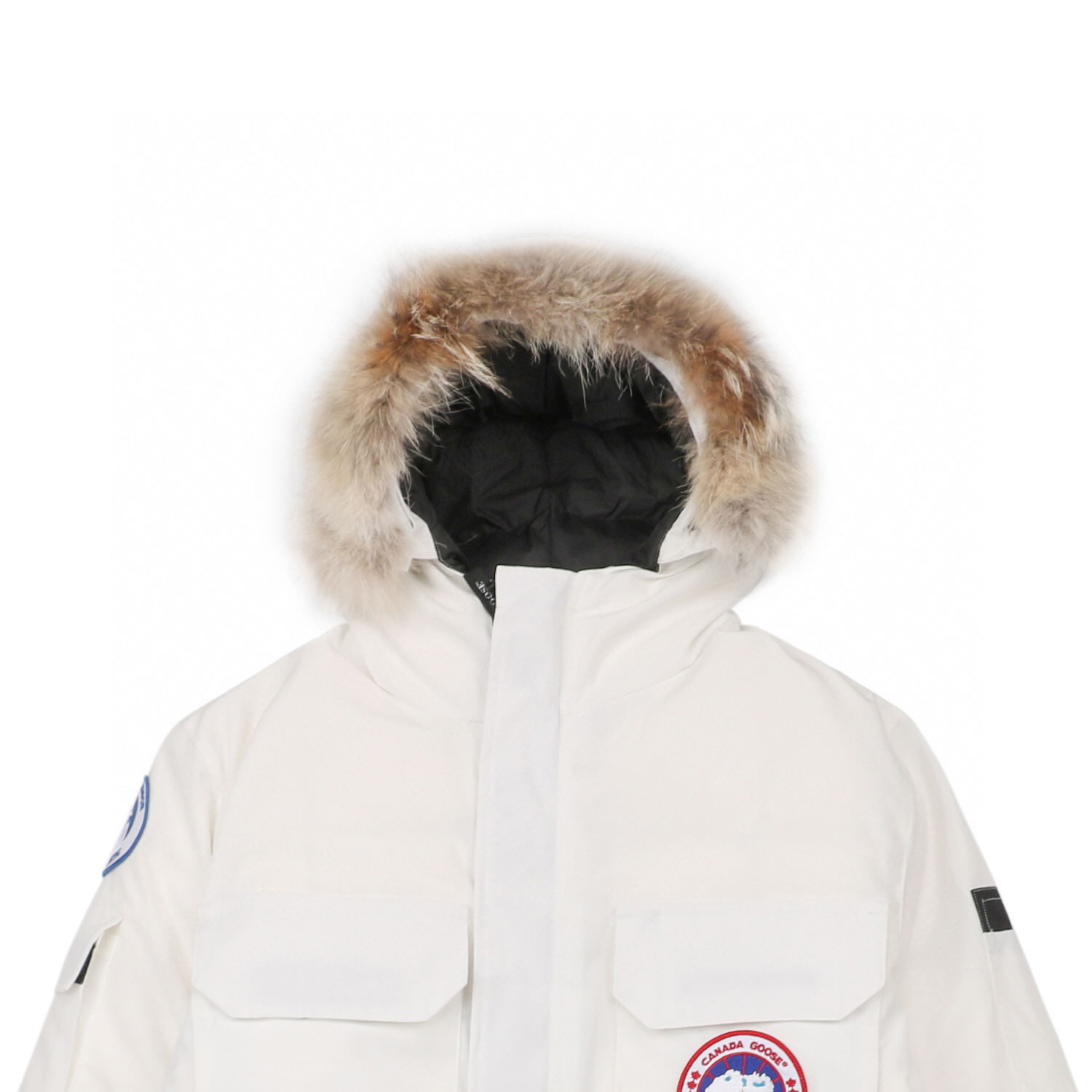 08 Canada Goose 19fw Expedition 4660ma Down Jacket Coat White (5) - newkick.cc