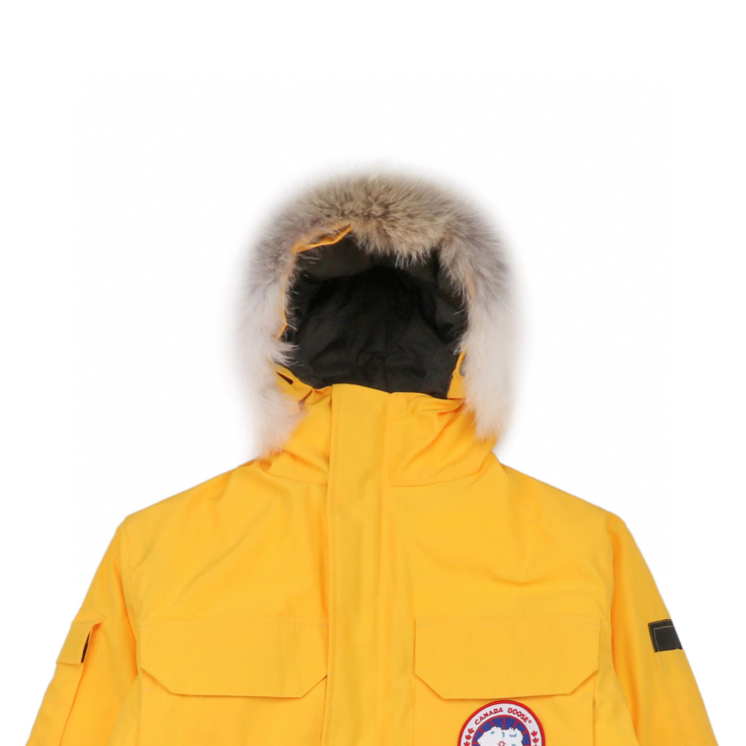 08 Canada Goose 19fw Expedition 4660ma Down Jacket Coat Yellow (4) - newkick.cc