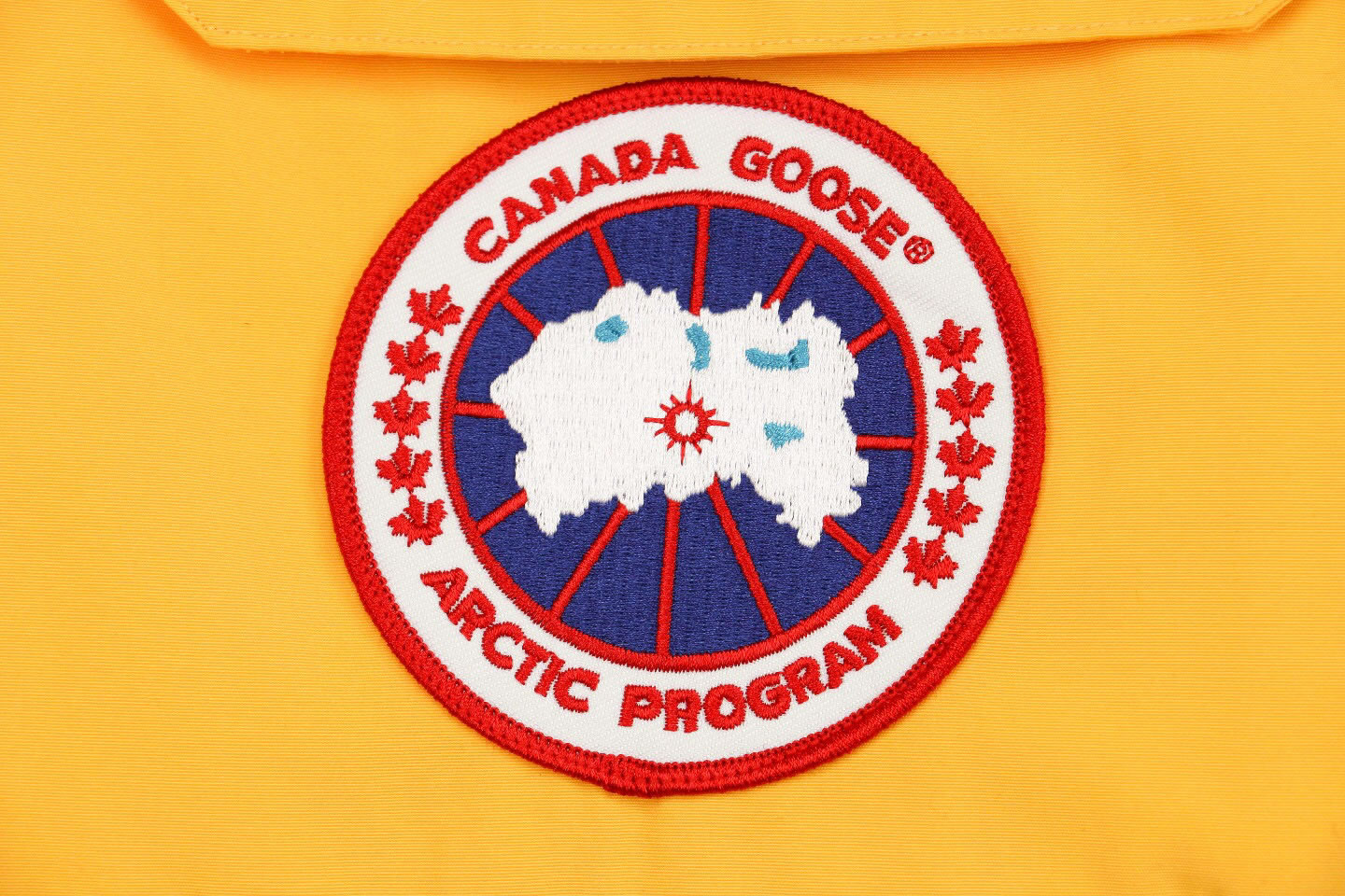 08 Canada Goose 19fw Expedition 4660ma Down Jacket Coat Yellow (7) - newkick.cc