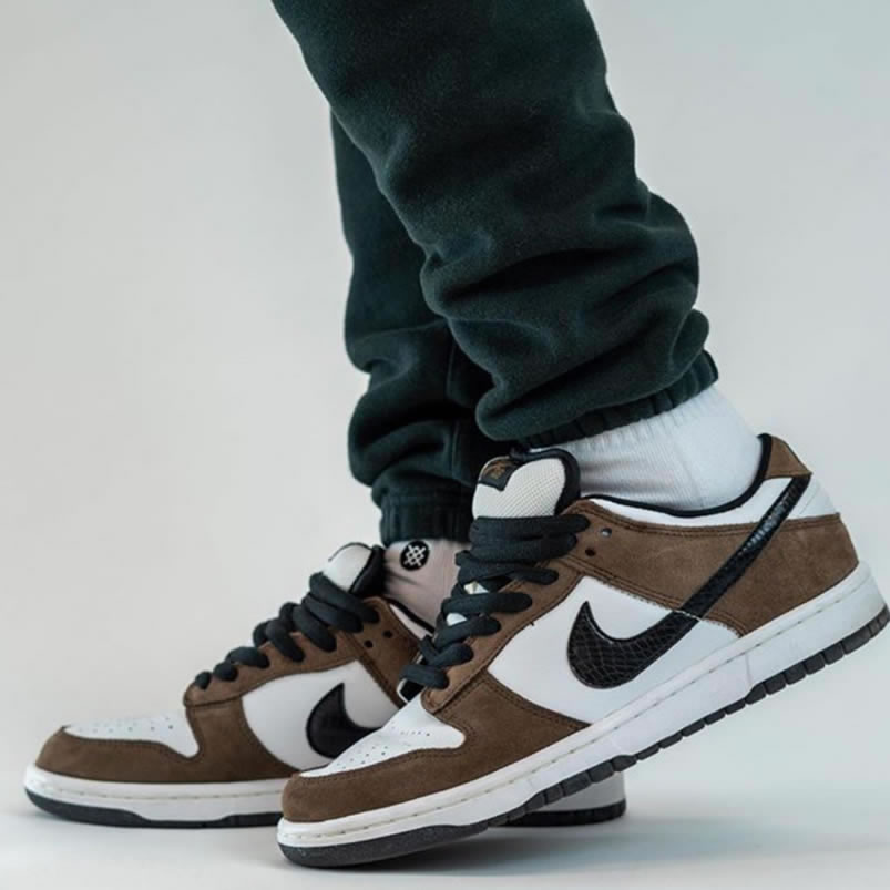 Nike Sb Dunk Low Trail End Brown Black White On Feet 304292 102 (3) - newkick.cc