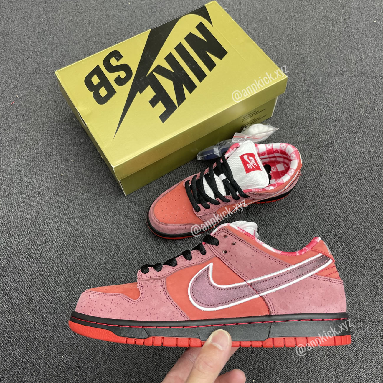 Anpkick Nike Sb Dunk Low Concepts Red Lobster 313170 661 (2) - newkick.cc