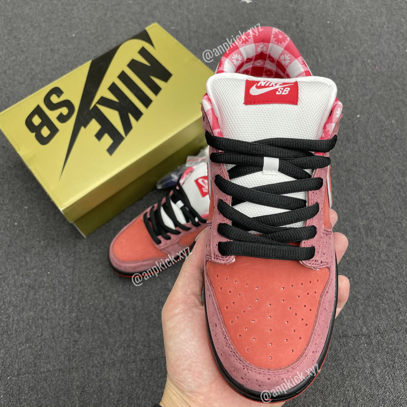 Anpkick Nike Sb Dunk Low Concepts Red Lobster 313170 661 (5) - newkick.cc