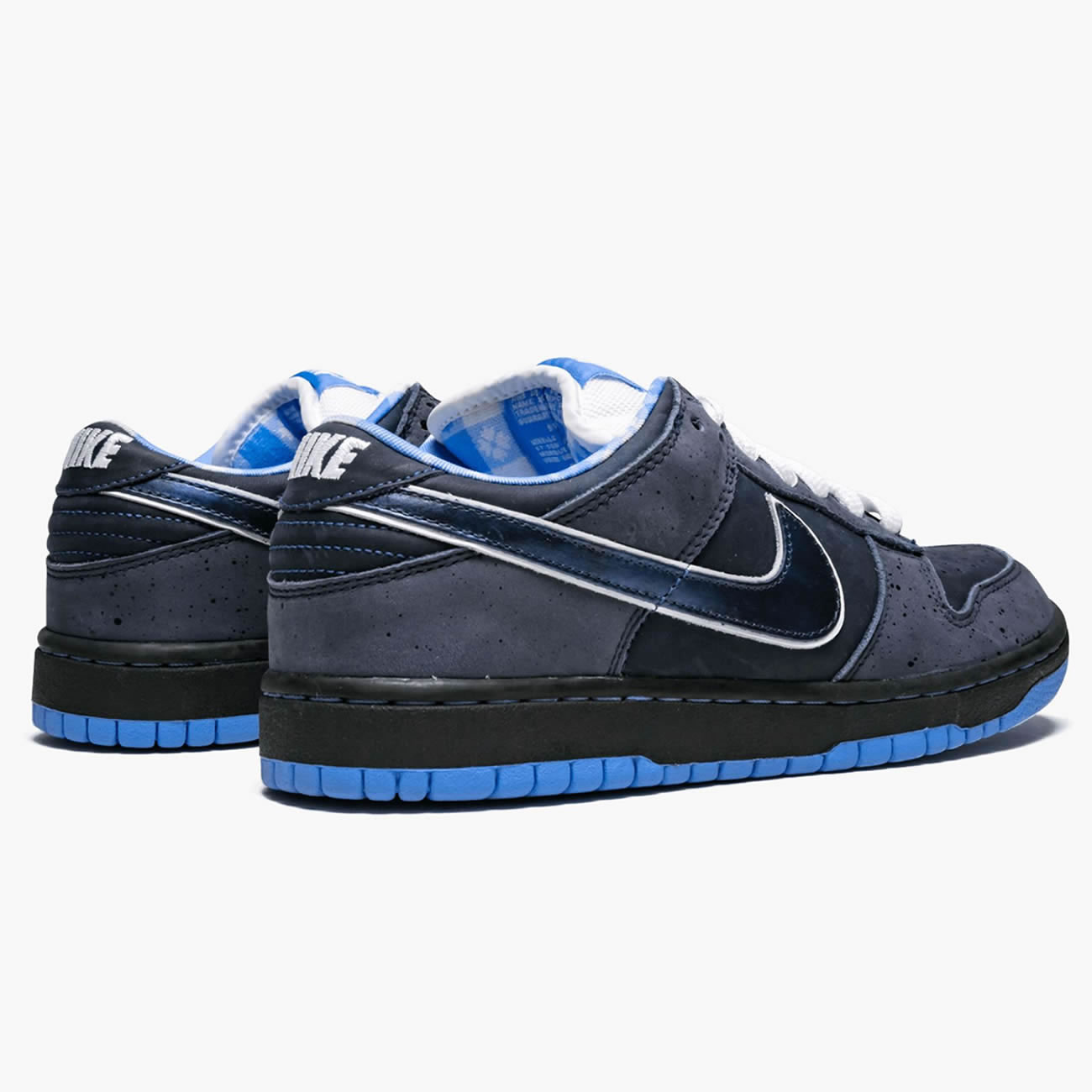 Nike Sb Dunk Low Concepts Bluelobster 313170 342 (3) - newkick.cc