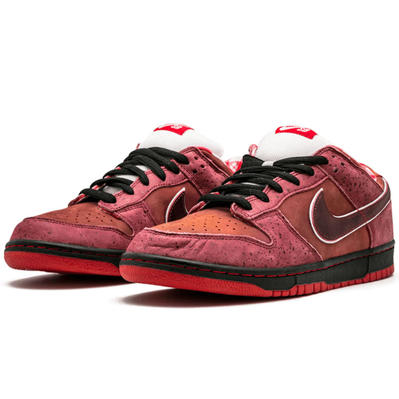 Nike Sb Dunk Low Concepts Red Lobster 313170 661 (2) - newkick.cc