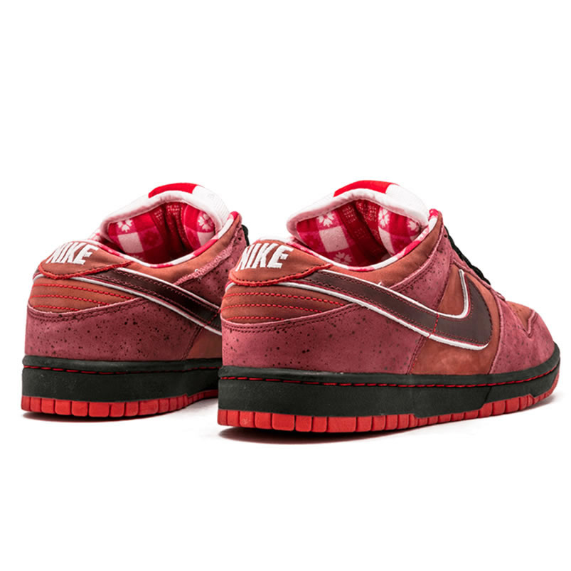 Nike Sb Dunk Low Concepts Red Lobster 313170 661 (3) - newkick.cc