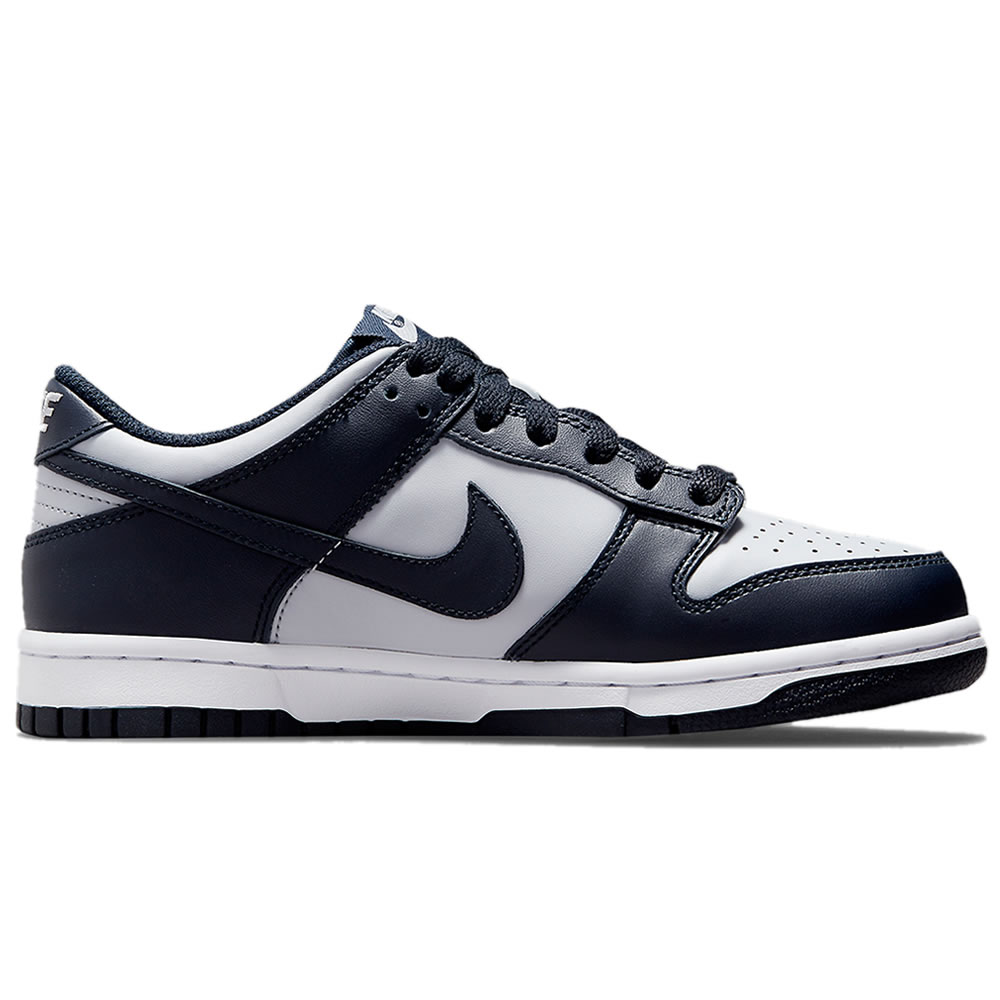 Nike Dunk Low Georgetown Dd1391 003 (2) - newkick.cc