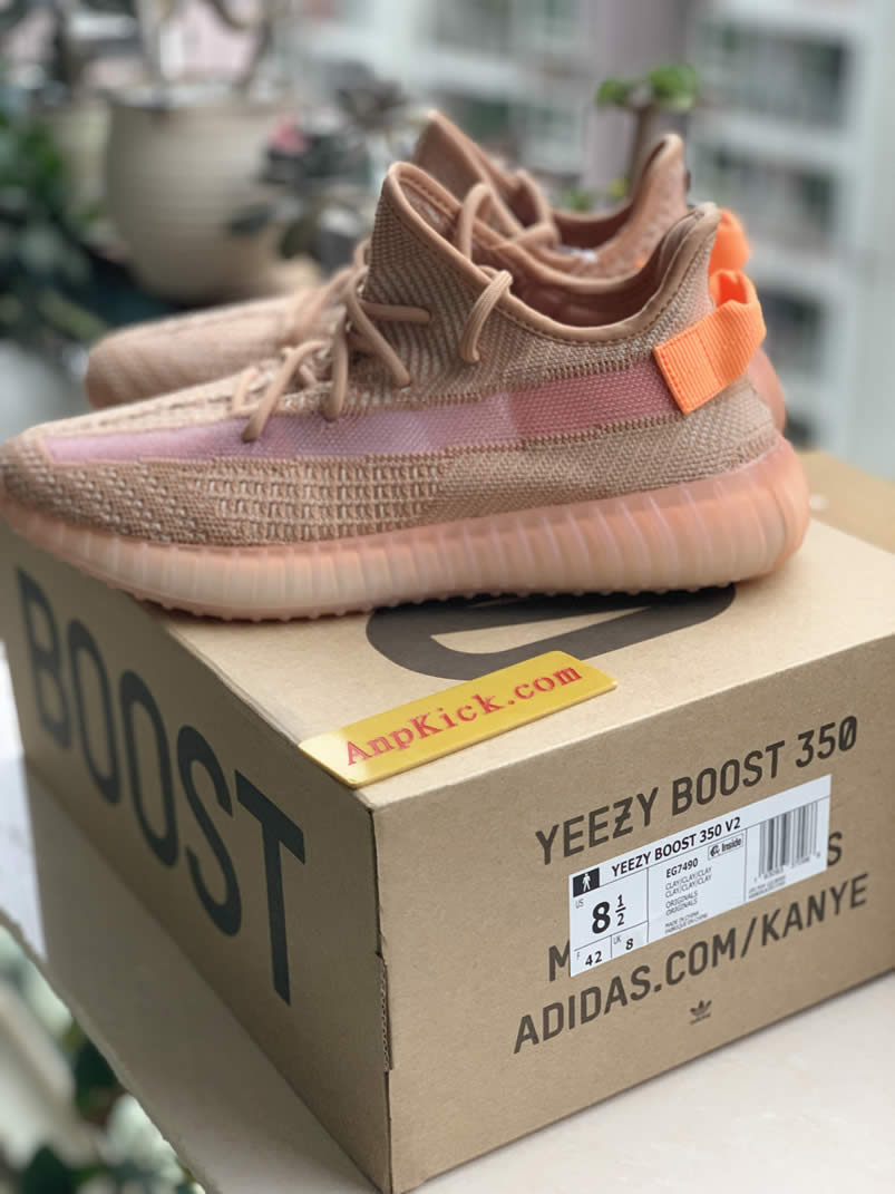 Adidas Yeezy Boost 350 V2 Clay 2019 For Sale Anpkick Release Date Eg7490 (3) - newkick.cc