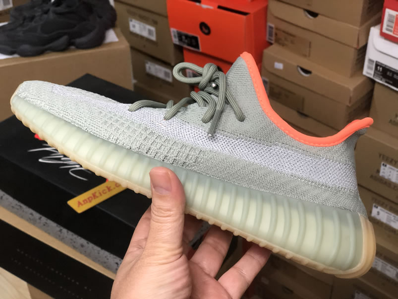 Adidas Yeezy Boost 350 V2 Desert Sage Anpkick Release Date Fx9035 (4) - newkick.cc