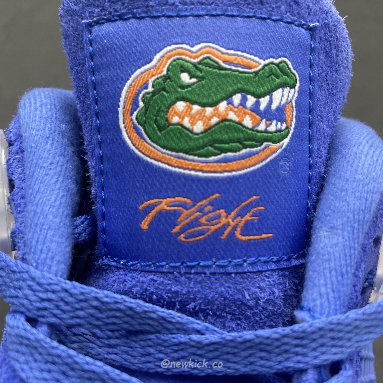 Air Jordan 4 Retro Florida Gators 904283 (5) - newkick.cc