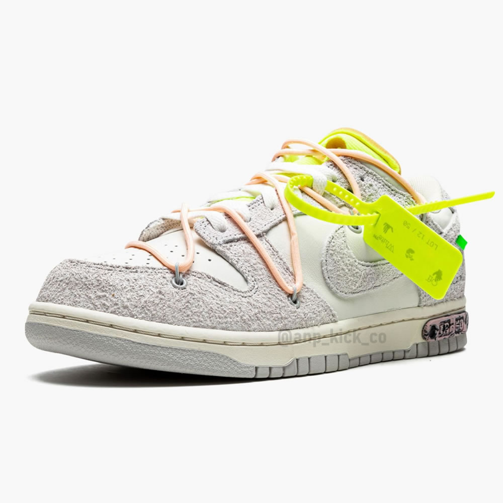 Off White Nike Sb Dunk Low Lot 12 Of 50 (4) - newkick.cc