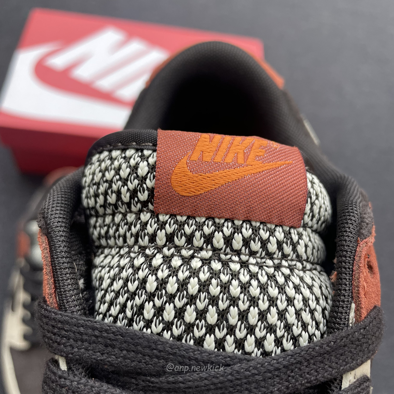 Nike Dunk Low Red Panda Fv0305 200 (10) - newkick.cc