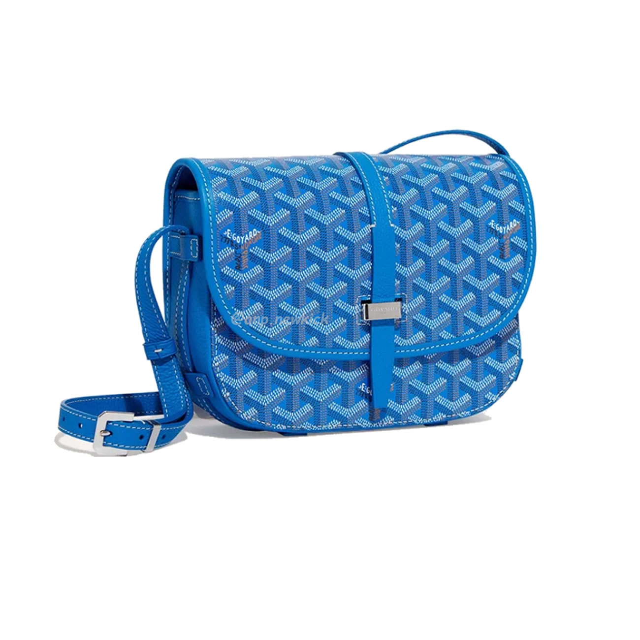 Goyard Belvedere Shoulder Bag (12) - newkick.cc