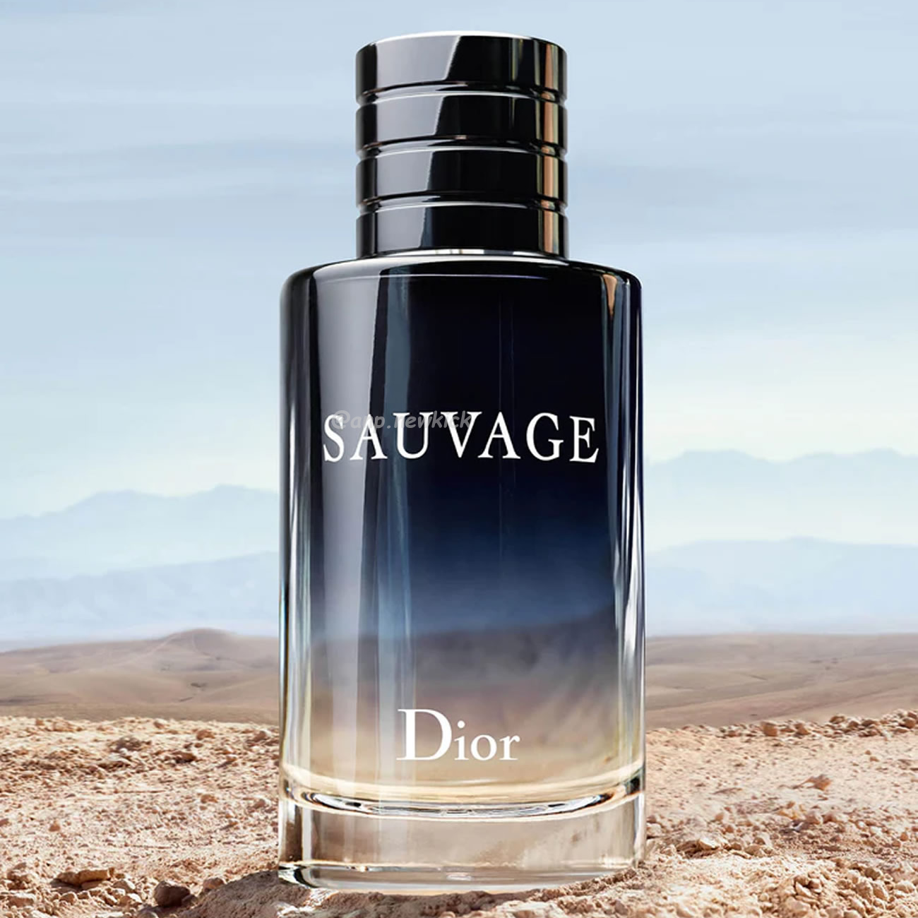 Dior Sauvage Edt 100ml (0) - newkick.cc