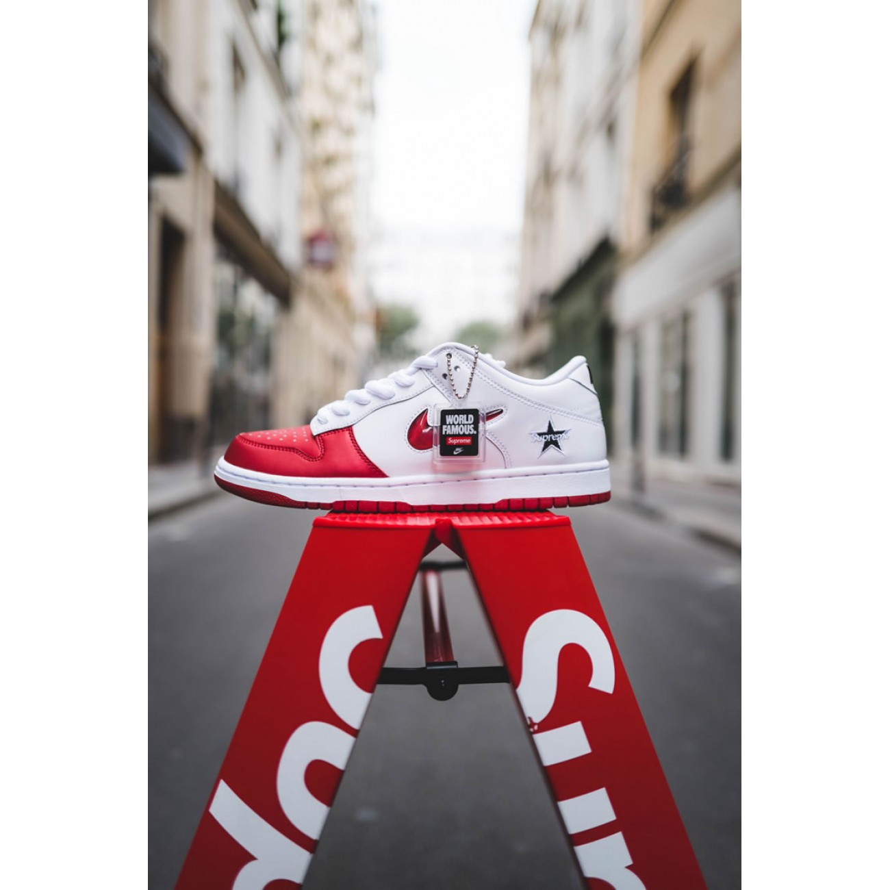 Supreme x Nike SB Dunk Low Red White 2019 Shoes CK3480-600