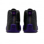 Air Jordan 12 Retro Field Purple CT8013-057