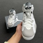 Air Jordan 6 Cool Grey CT8529-100