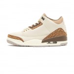 Air Jordan 3 Retro Palomino CT8532-102