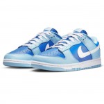 Nike Dunk Low Retro QS Argon (2022) DM0121-400