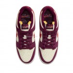 Nike SB Dunk Low Skate Like a Girl DX4589-600