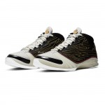 Air Jordan 23 TITAN CZ6222-001